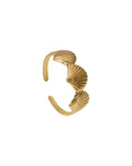 Triple Shell Ring
