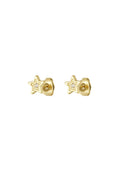 Oorknopjes sterren goud stainless steel