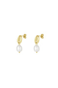 Schelpen oorbellen parel goudkleurig studs
